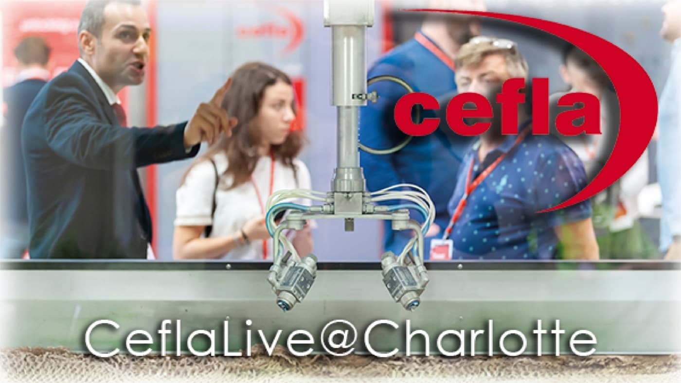 CeflaLive @Charlotte 2024