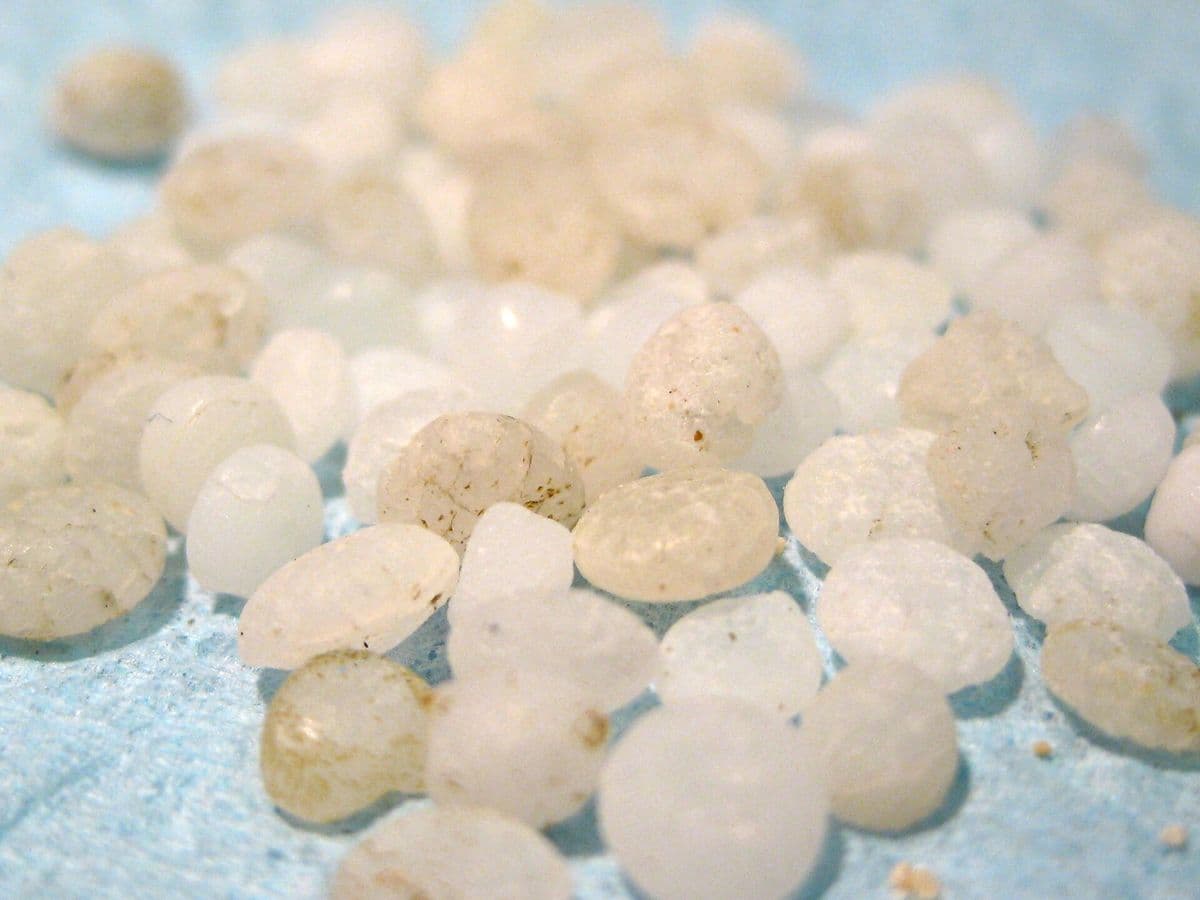 Close-up of pre-production plastic resin pellets